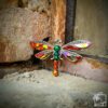 Crimson-Saffron Dragonfly - Image 2
